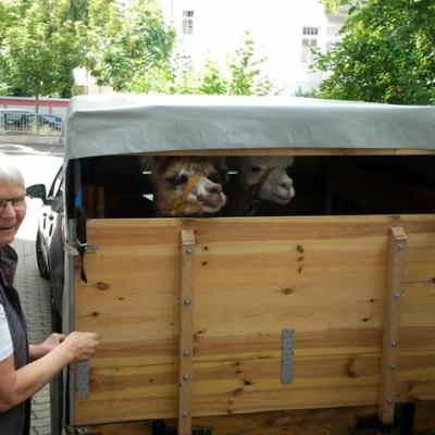 Sommerfest Im G26 6 20160916 1218614539